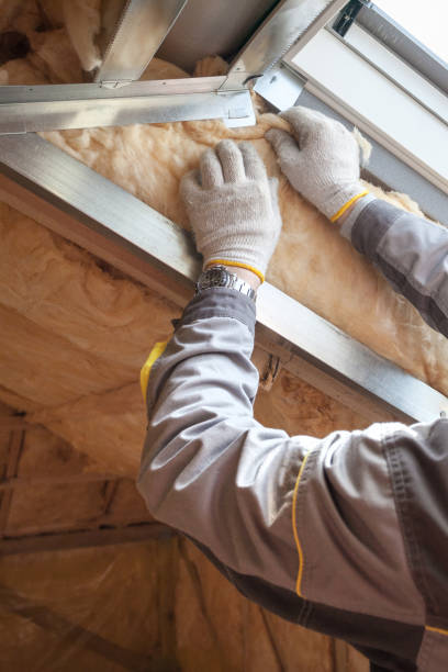Best Cellulose Insulation in Mcgehee, AR